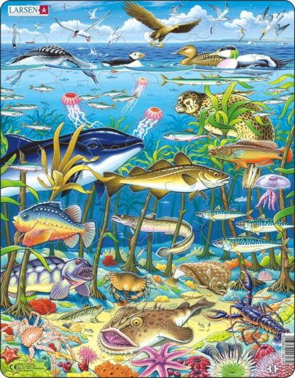 Puzzle Zvířata v moři 60 dílků