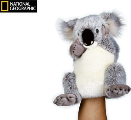 National Geographic maňásek Koala