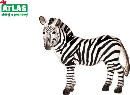 D - Figurka Zebra 10cm