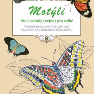 Motýli - omalovánky (nejen) pro velké