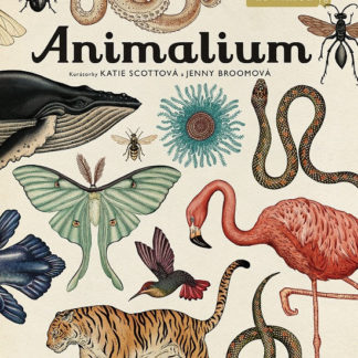 Animalium