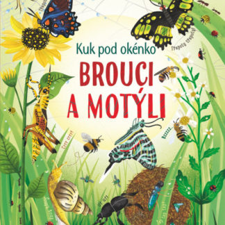 Kuk pod okénko - Brouci a motýli