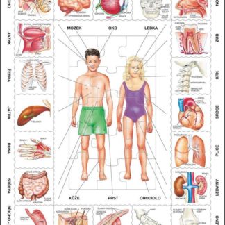 Puzzle Naše tělo 35 dílků