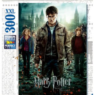 Puzzle Harry Potter spolu v boji 300 dílků