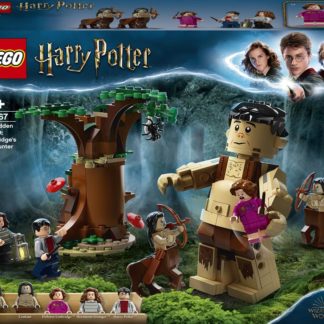 Lego Harry Potter 75967 Zapovězený les: Setkání Drápa a profesorky