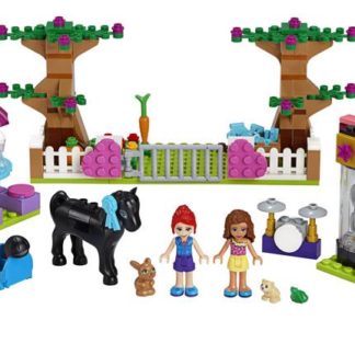 Lego Friends Box s kostkami z městečka Heartlake