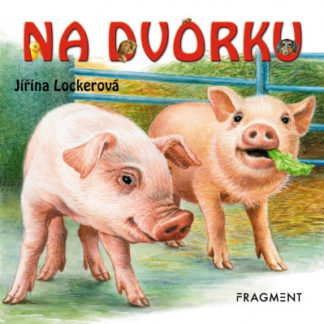 Na dvorku