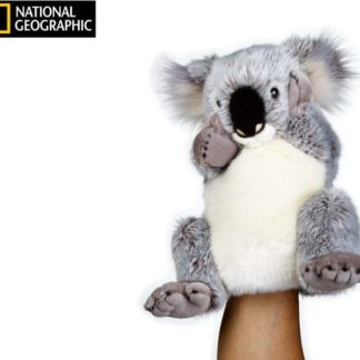 National Geographic maňásek Koala