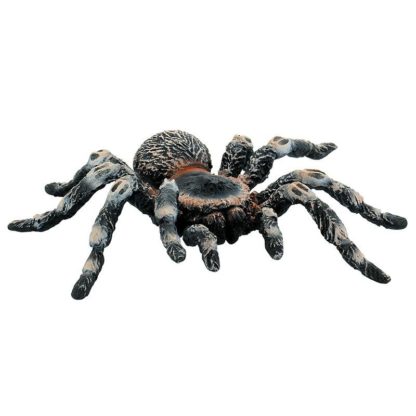 Tarantule bílá