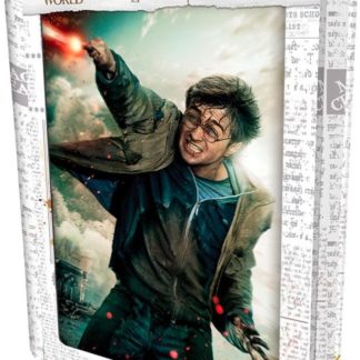 3D PUZZLE Harry Potter-Harry Potter 300ks