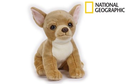 National Geographic Kids Čivava pes 33 cm